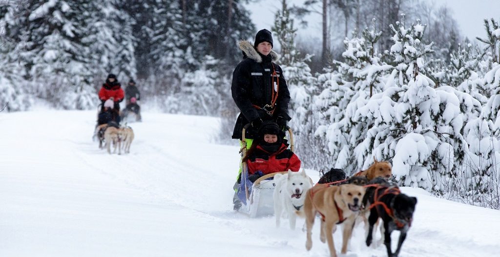 Winter Activiteiten In Harriniva Fins Lapland Sundowner Wildlife