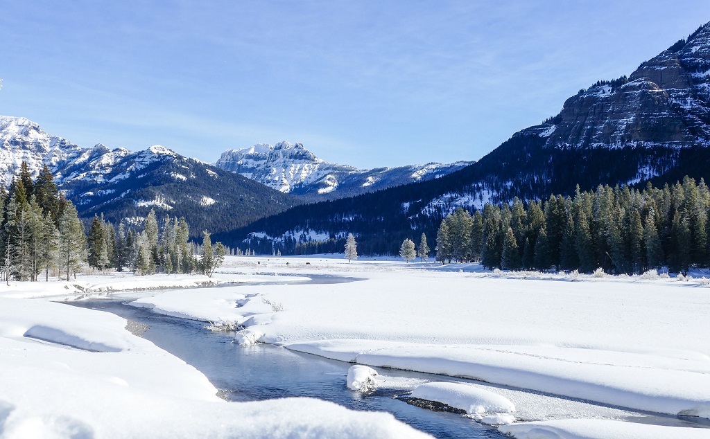 Amerika bezienswaardigheden, Lamar Valley