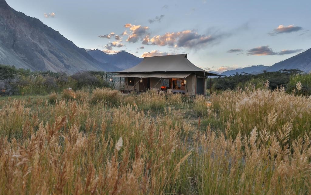 Chamba Camp Diskit, Ladakh natuur deluxe