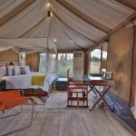 Luxe suite, Chamba Camp Diskit