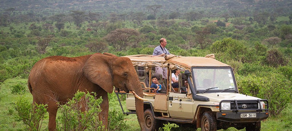 Elephant Bedroom Camp