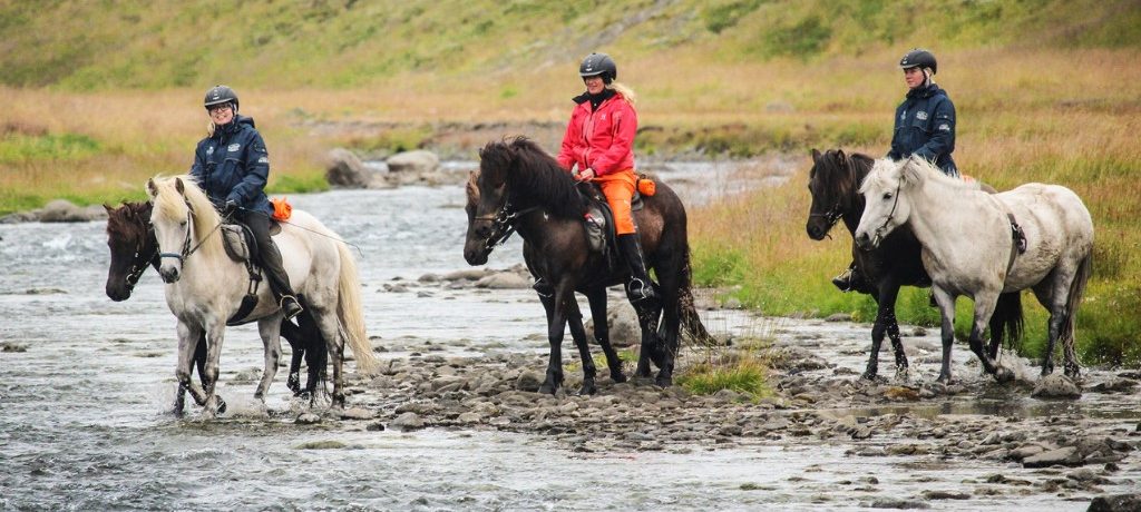 Hestasport Cottages, Skagafjördur, Noord-IJsland