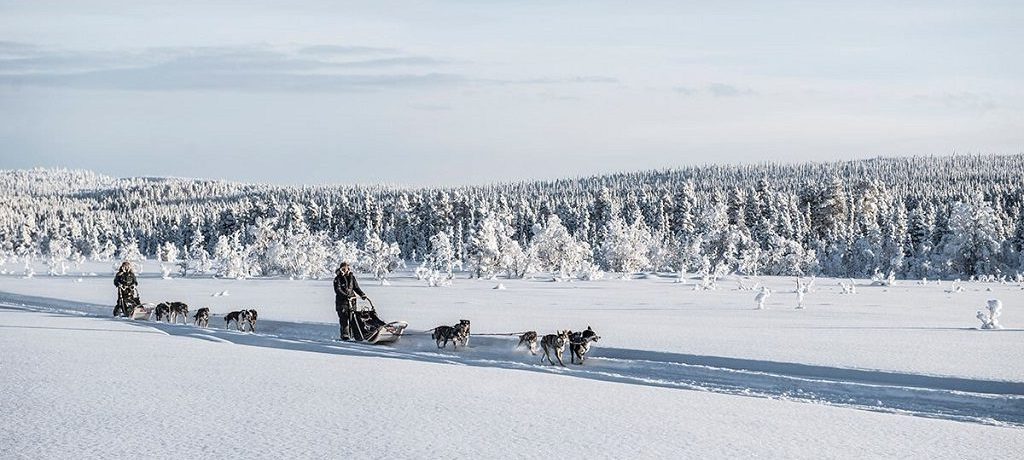 Husky safari