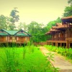 Infinity Resort Kaziranga