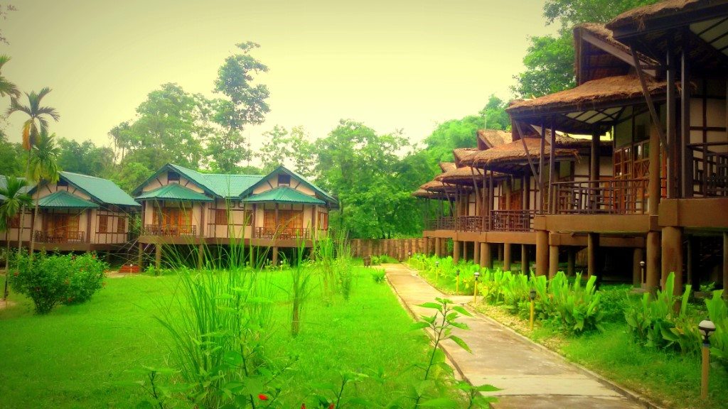 Infinity Resort Kaziranga