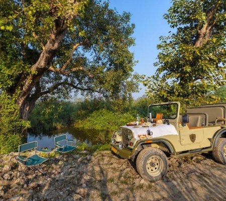 luxe safari Dudhwa