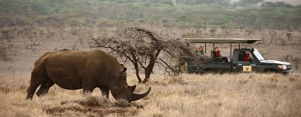 Laikipia, Wildlife spotten in Kenia