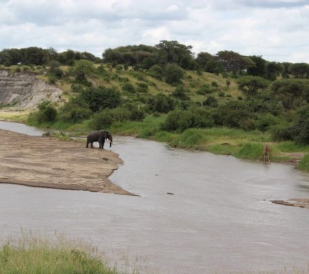 Arusha National Park