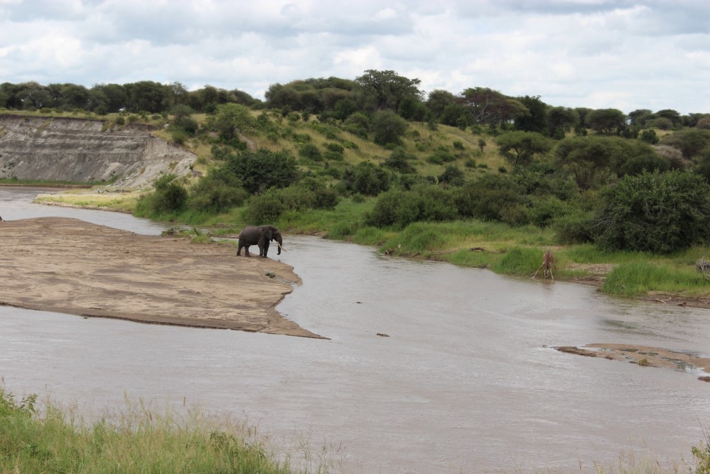 Arusha National Park