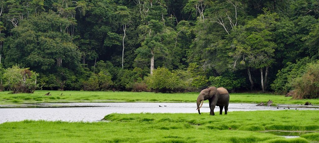 Nationale Parken Gabon