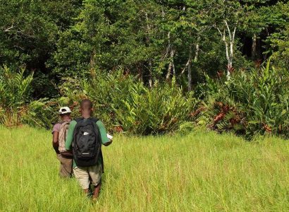 Loango National Park, Activiteiten van Gabon