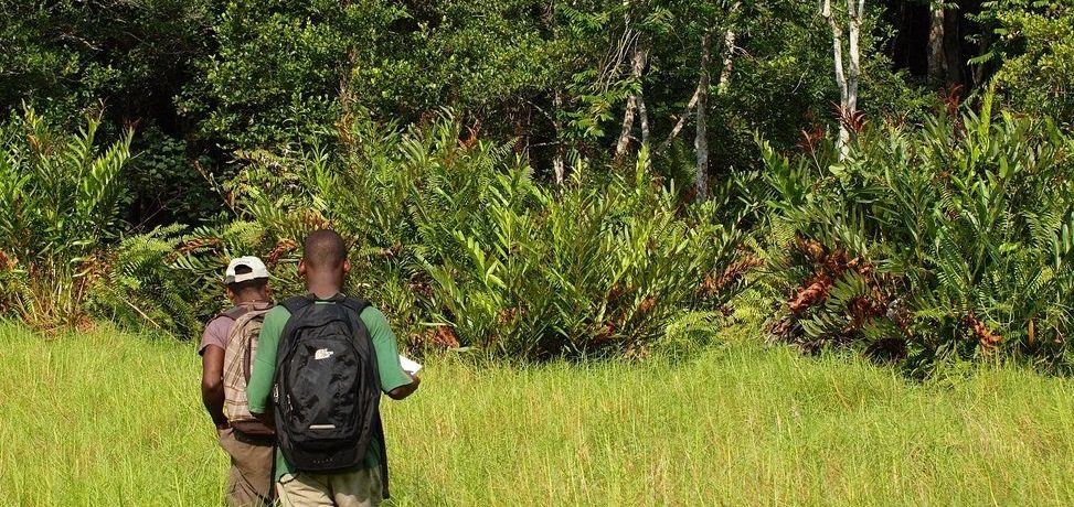 Loango National Park, Activiteiten van Gabon