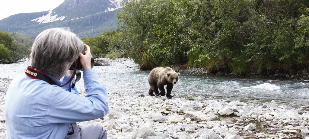 grizzly beren van kodiak tot katmai