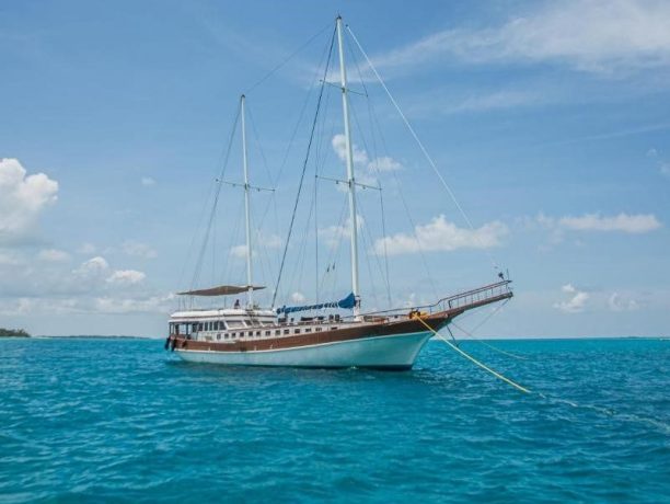 Akoya Pearl Maledives