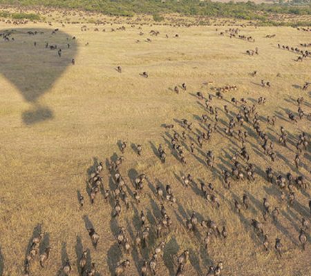 Ndutu Under Canvas