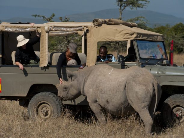 Ol Pejeta Bushcamp, Veel gestelde vragen over Kenia