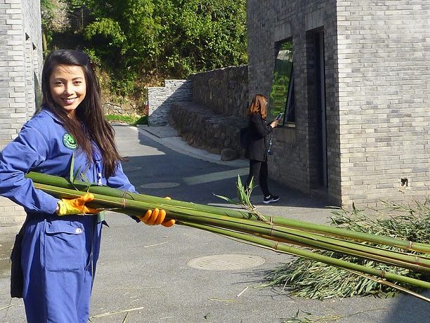 Panda Volunteer China