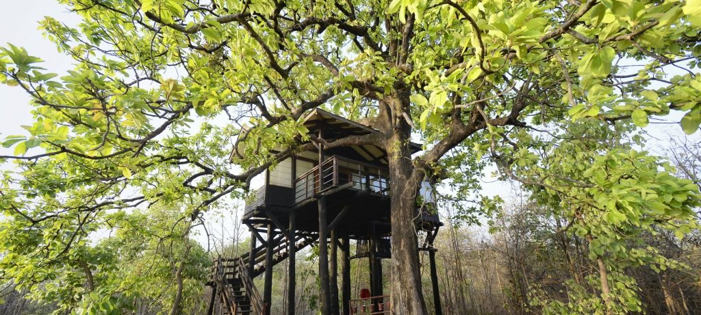 Pench Tree Lodge