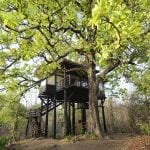 Pench Tree Lodge