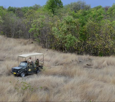 Game drive