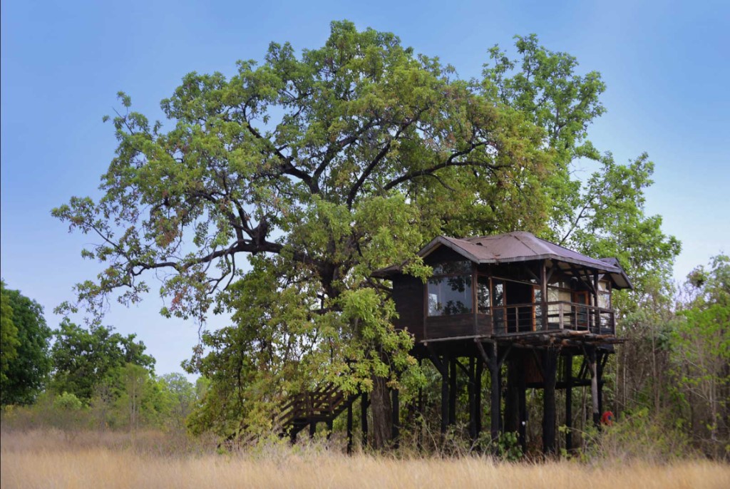 Pench Tree Lodge