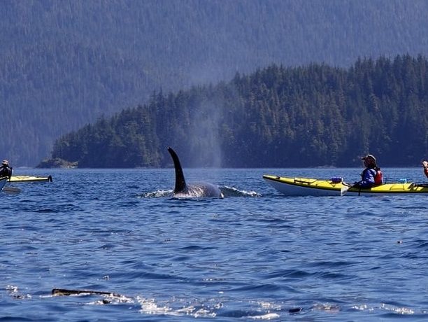 Orca Camp Vancouver Island