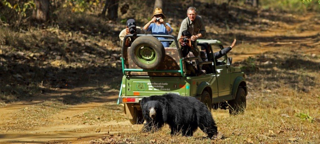 Satpura, India - Reni Pani jungle lodge