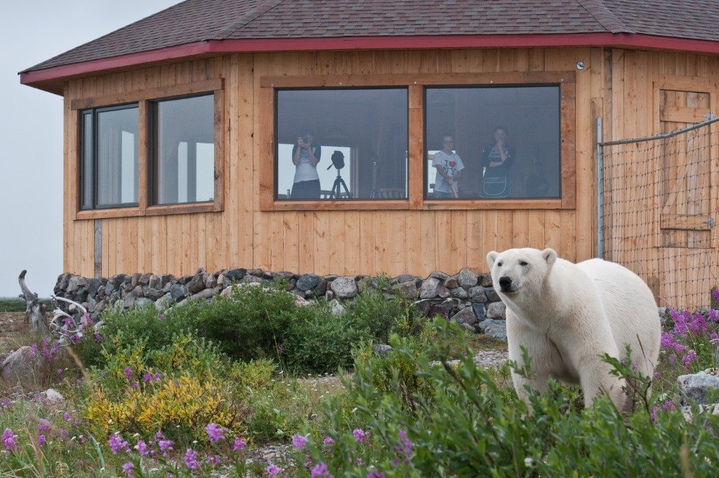 Ijsberenlodges Canada, Seal River Heritage Lodge