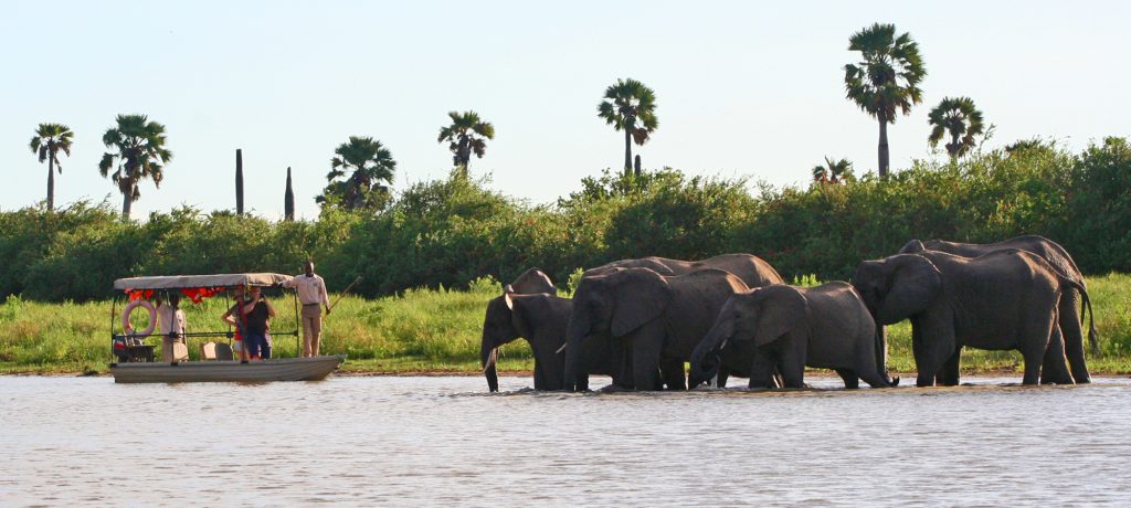 Foto: © Selous Impala Camp