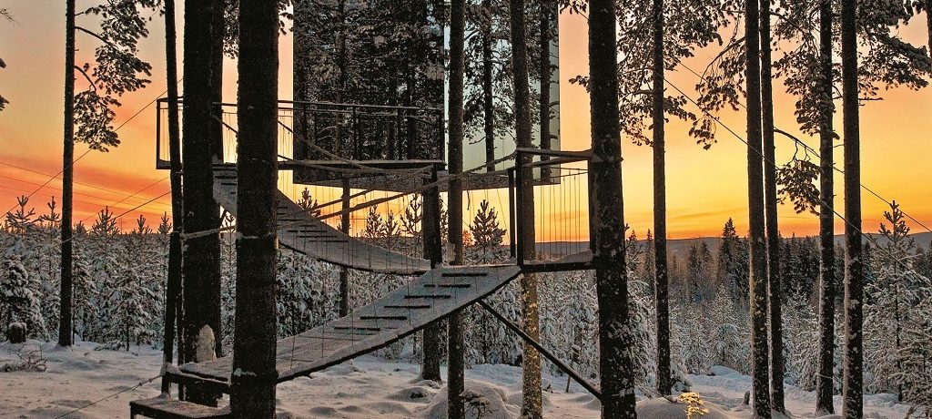 Brandon Lodge en Tree Hotel