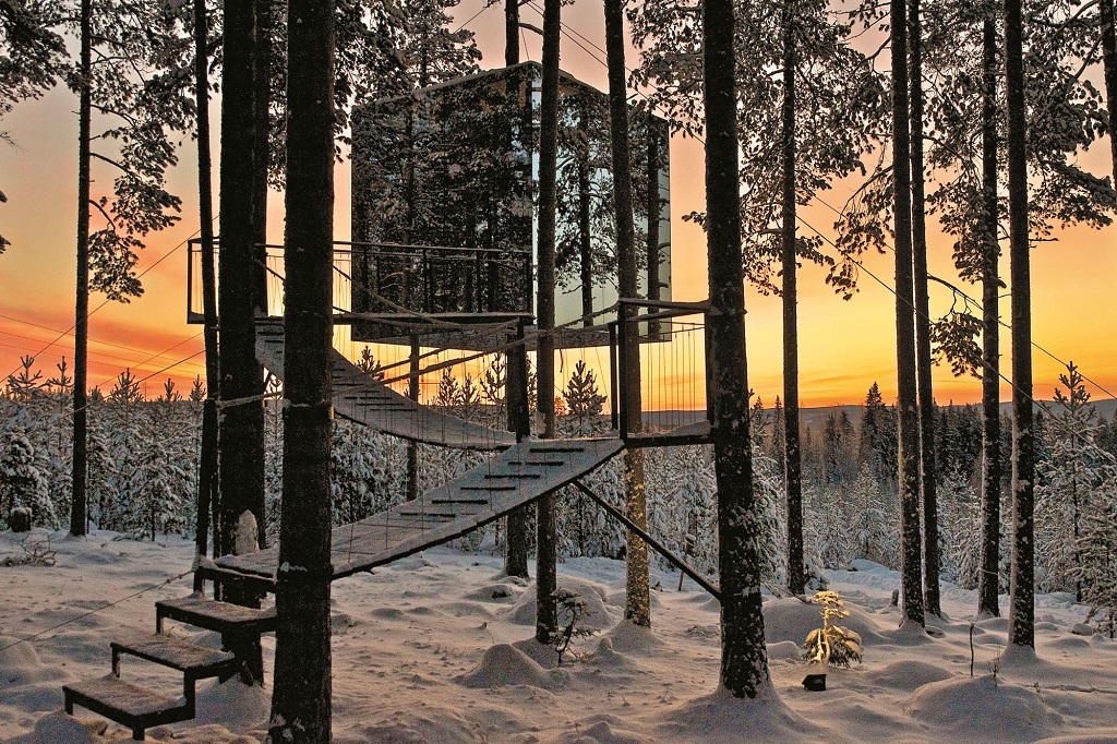 Brandon Lodge en Tree Hotel