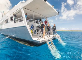 Excursie, snorkel vakanties