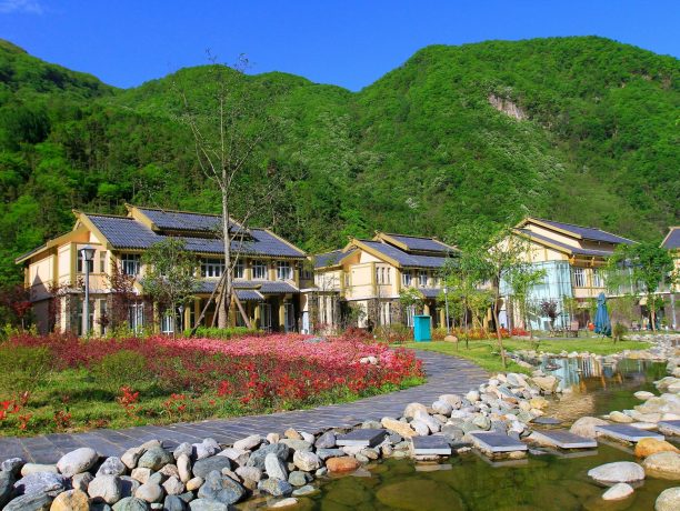 Wild Panda Reserve Hotel