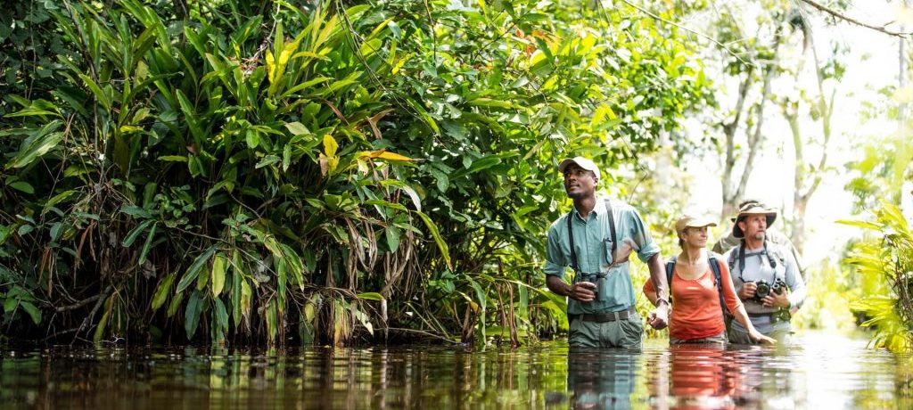 Activiteiten Congo, Natuurreizen naar tropische regenwouden