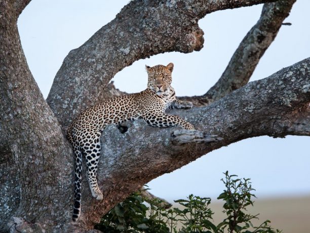 Serengeti National Park