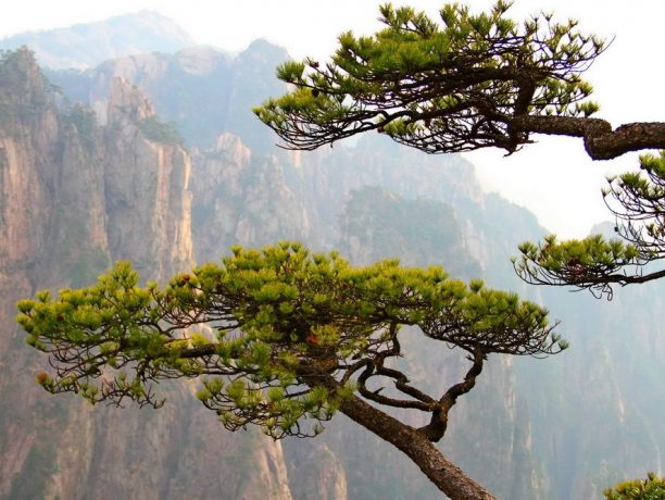 Huangshan mountians, China - Shutterstock