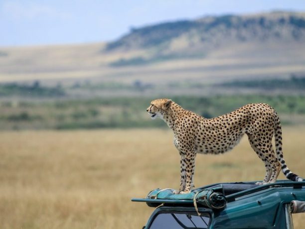 Serengeti National Park