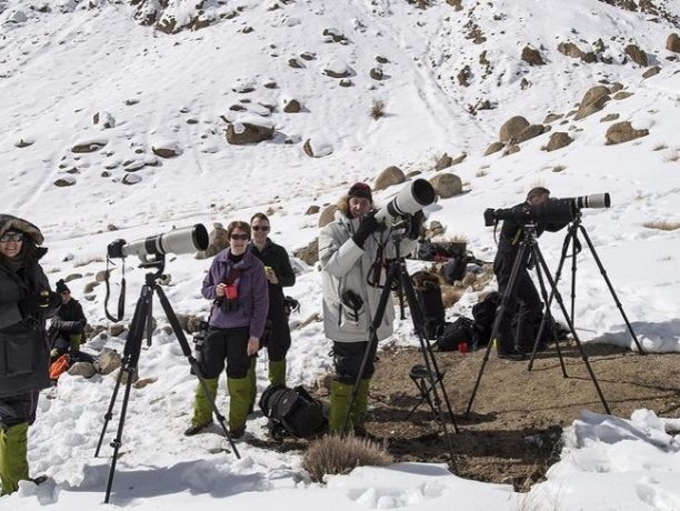 Trackers Sneeuwluipaard